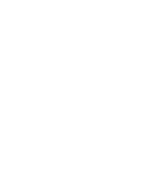 Pucela Basket
